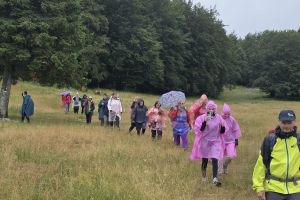 40a5b6ab 9f43 4170 B8c2 74e90906e59d