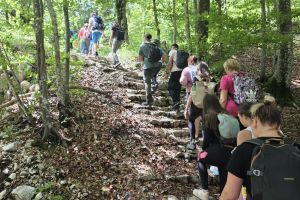 8e022fd6 230e 4da2 Bbf9 79dc53930336