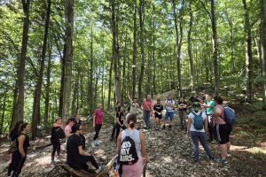 9a88e693 0a6a 4207 B4a7 4b067b84e2eb