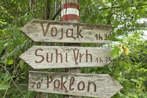 9e9911c3 Bf6f 4d2c A6db 7d7f34d03fcf