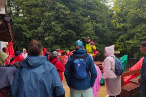 B560096a 7fb5 430e 9ea8 2ebb392f3e5a