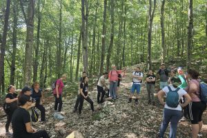 Ecee885f 503b 4422 B097 E144368e53d4