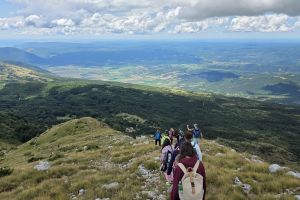 Fe9311eb 1eb9 423c B3b7 7fa261f141a0